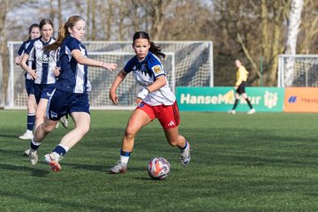 Bild 242 - wBJ Hamburger SV - Hertha BSC : Ergebnis: 2:1